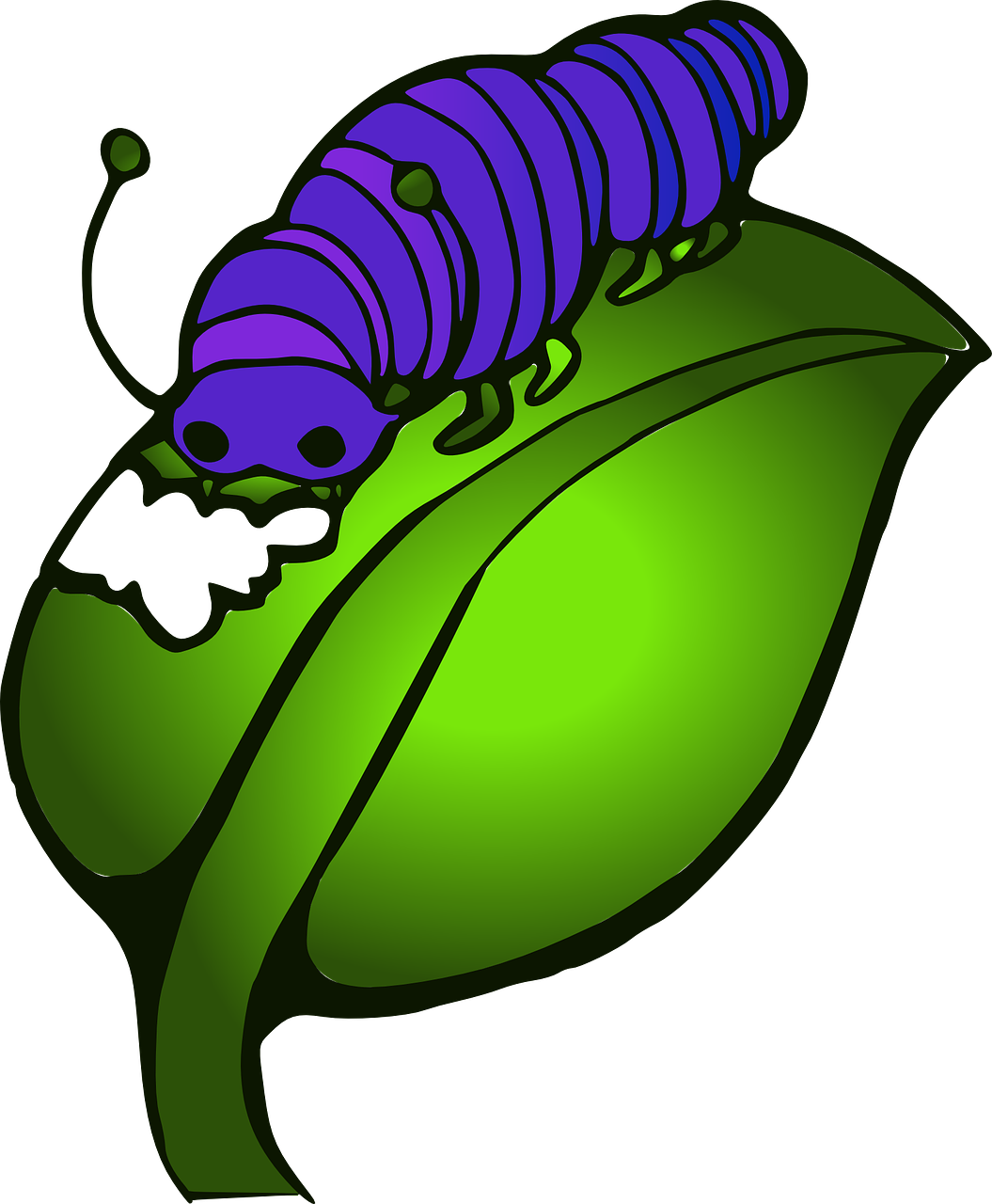 Caterpillar Leave Eat Blue Png Image - หนอน ผีเสื้อ กา ตู น (1583x1920)