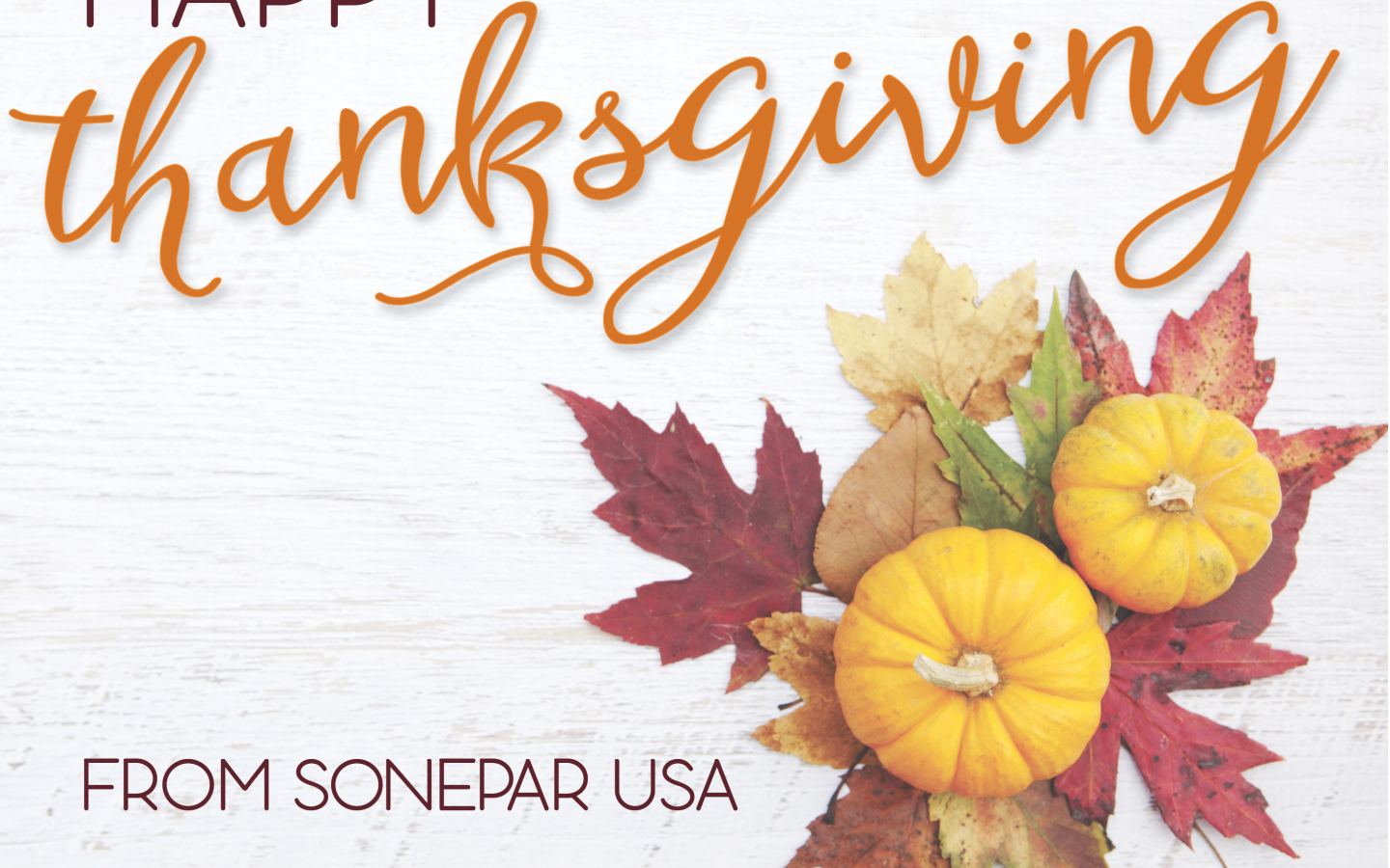 Stirring Thanksgiving Business Cards Free Greeting - Greeting Card (1440x900)