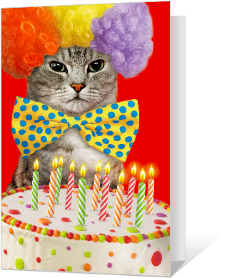 Birthday Catittude Greeting Card Birthday Card - Happy Birthday Wish With Cat (420x420)