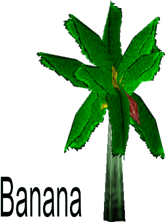 Banana Tree Cartoon Png Doodad Models And Trees The - Stock.xchng (487x541)