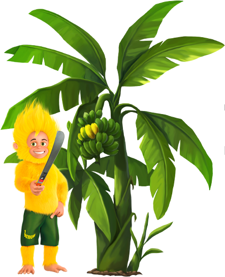 Yellow Banana Plantations - Yellow Banana Plantations (443x544)