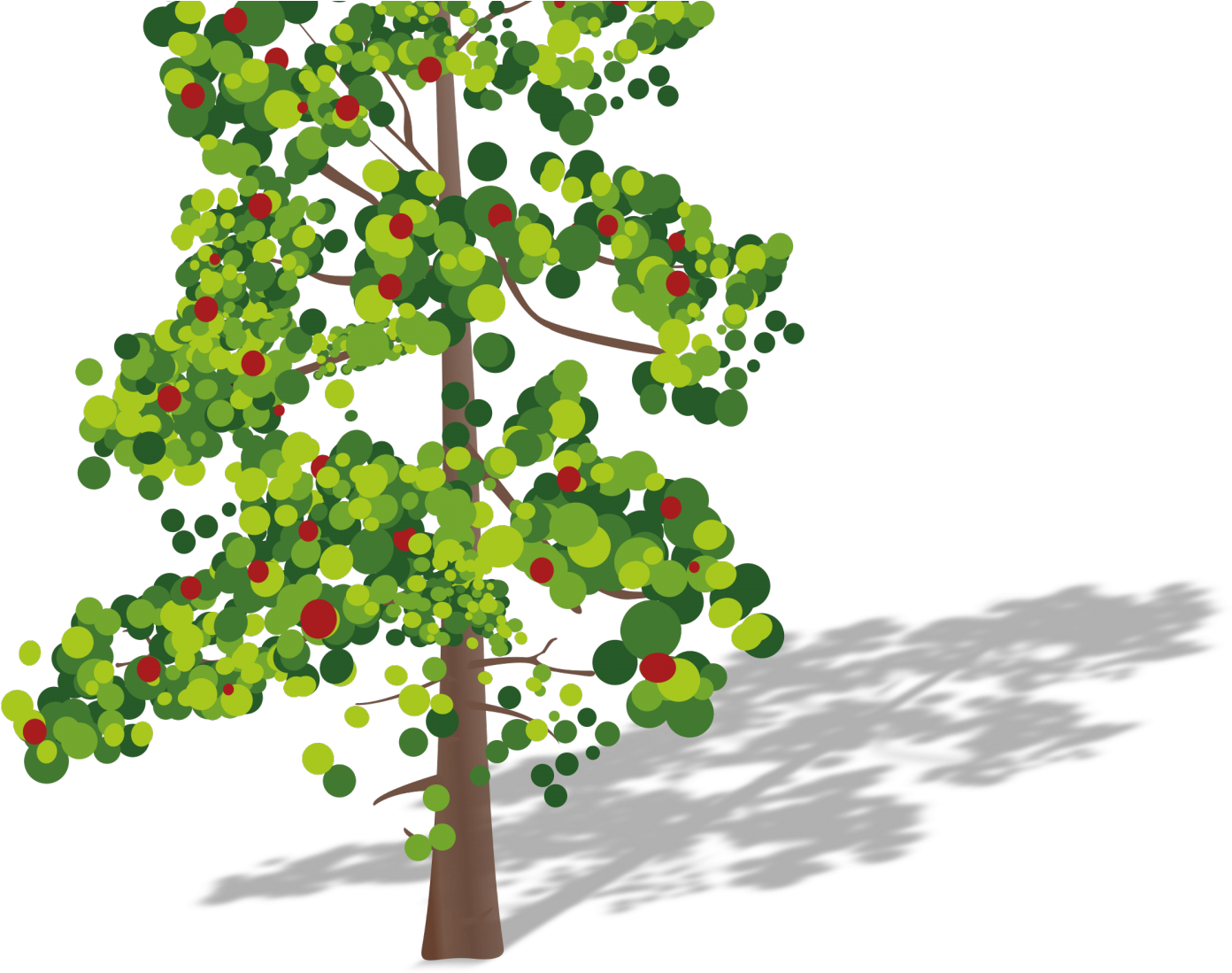 Tree With Fruits By Baditaflorin - Carbon Dioxide Oxygen Cycle (1500x1500)