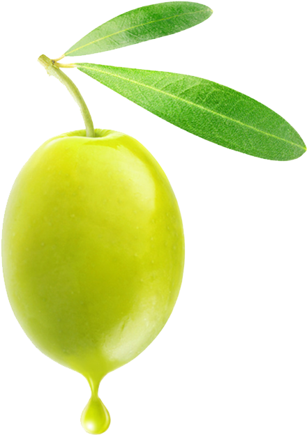 Olive - Olive Fruit Png (838x955)