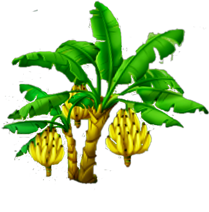Banana Tree Harvest 3 - Banana Tree (488x458)