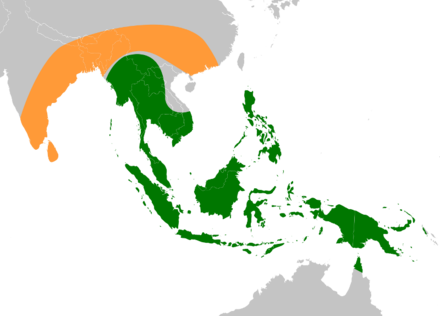 Original Native Ranges Of The Ancestors Of Modern Edible - China And Vietnam Map (440x316)
