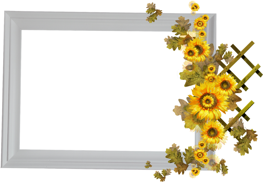 Picture Frame Flower - Picture Frame (1000x737)