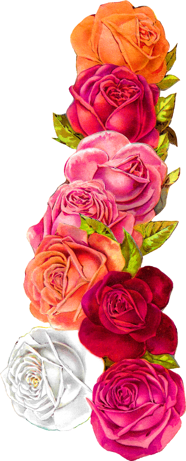 Posted On The Graphics Monarch, There Is A Pretty, - Clip Art (694x1600)