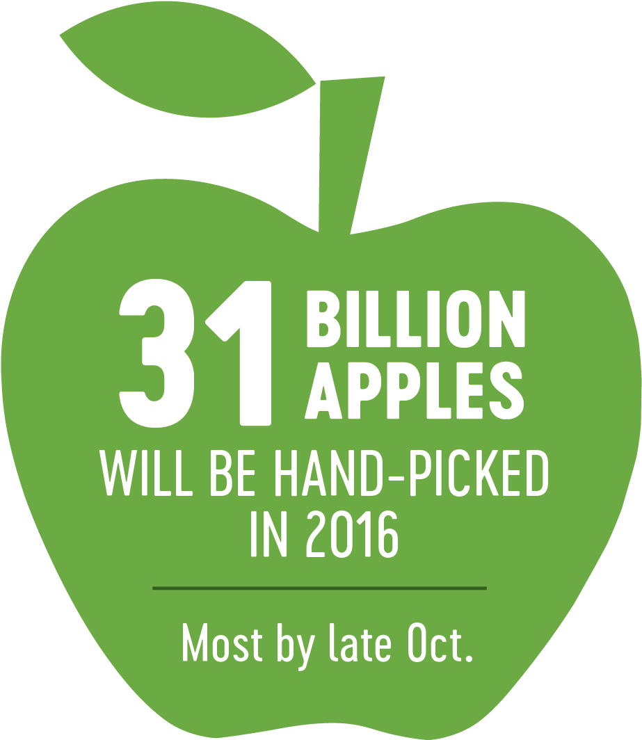 Media - Lion King Be Prepared (1200x1200)