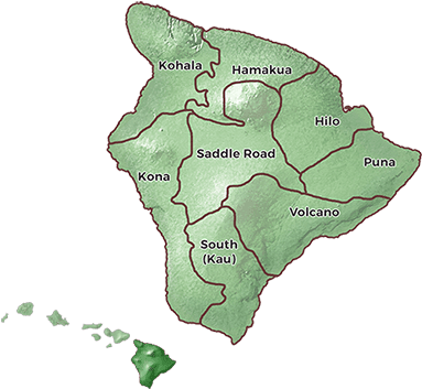 Big Island Travel Guide - Hawaiian Islands (450x369)