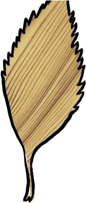 Did You Know - Did You Know (425x468)