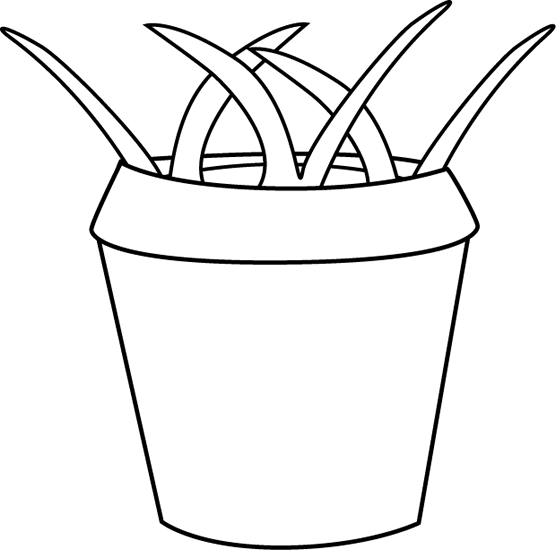 Black And White Flower Pot With Weeds - Pot Black And White (556x550)