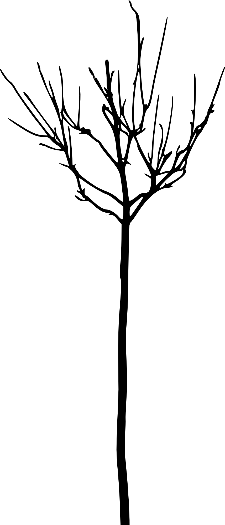 Free Download - Portable Network Graphics (857x2000)