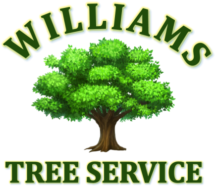 24/7 Emergency Service Available - Beautiful Detailed Storybook Tree Shower Curtain (500x390)