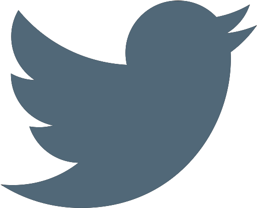 Twitter Logo - Transparent Twitter Logo Color (512x512)