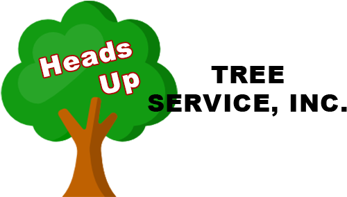 Follow - Free Weezy (526x300)