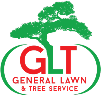 Independence, Lee's Summit And Blue Springs Tree Service - Bonsai Tree Tattoo Designs (375x327)