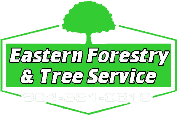 Tree Care, Tree Removal & Yard Clean Up - Sign (803x468)