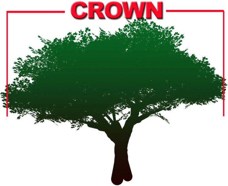 When Pruning The Tree, It's Important To Always Start - Get Out Of My Life Status (727x800)