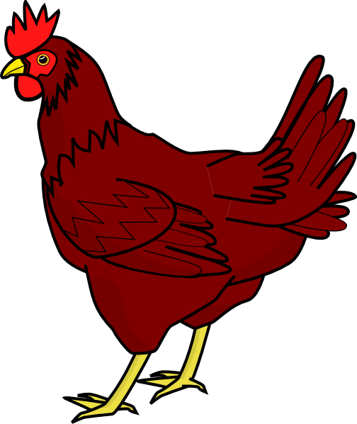 Little Red Hen Clipart - Chicken Clipart (504x598)