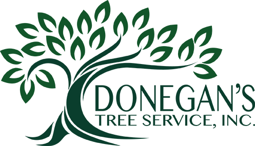 Donegans Logo - Donegan's Tree Service (497x285)