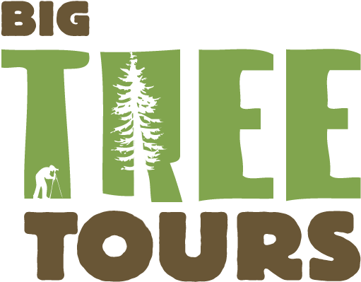 Guided Day Hikes To Bc's Biggest Trees - Graphic Design (792x612)