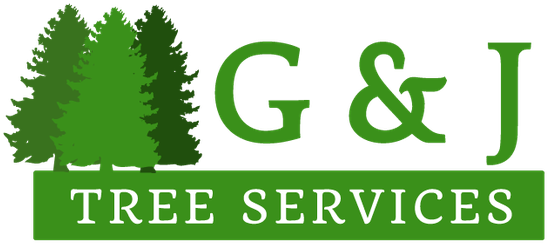 G And J Tree Services Logo - Colorado Spruce (599x318)
