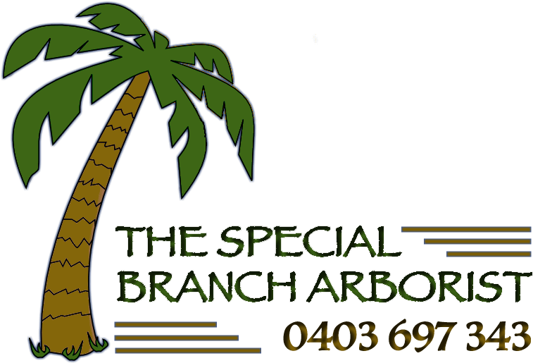 The Special Branch Arborist - Melbourne (768x521)