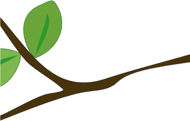 Tree Branch Clipart - Clip Art (640x480)