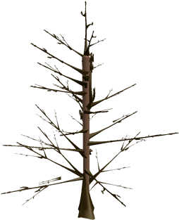 Tree - Pine (420x420)