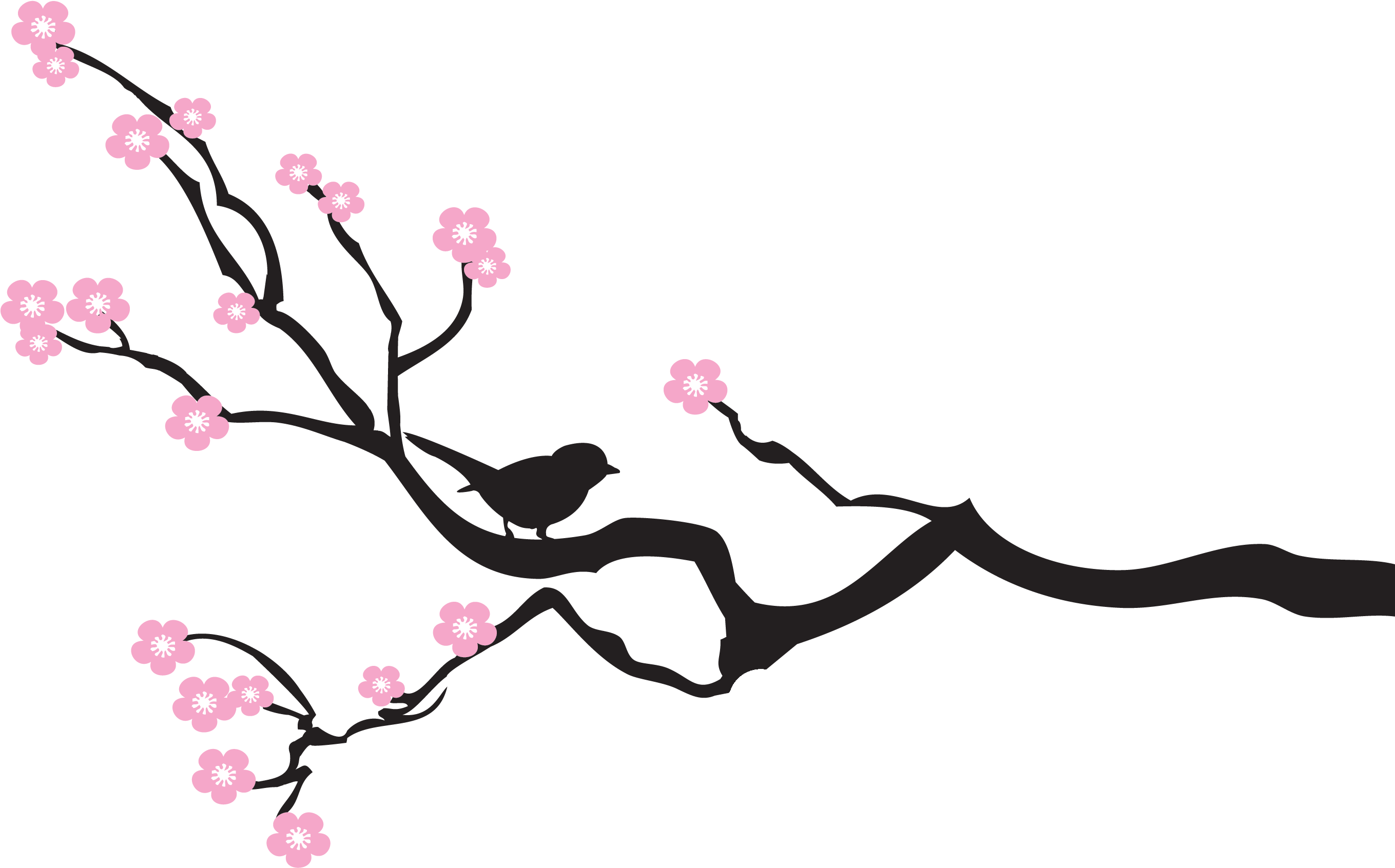 Cherry Blossom Tree Branch Template Faith Alliance - Bird On A Branch (2739x1723)