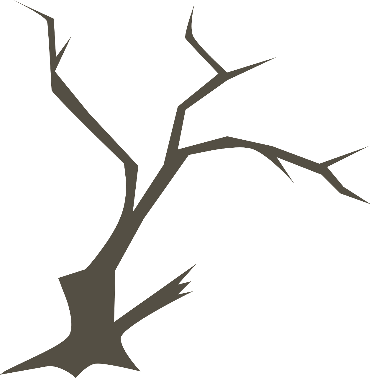 One Of The Reasons That I Enjoy Randy Seaver's Blog, - Rama De Un Arbol Png (1258x1280)