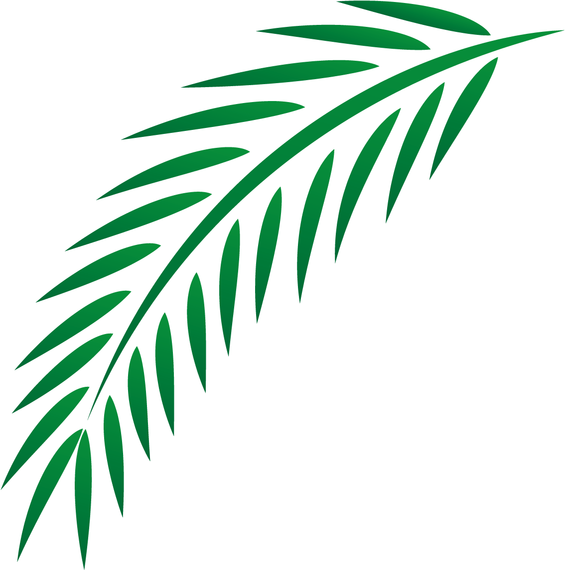 Leaf Euclidean Vector - Palm Branch (1500x1500)