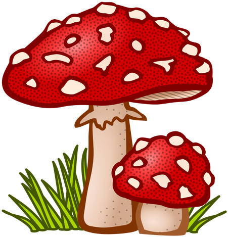 51 Morel Mushroom Clip Art Public Domain Vectors - Mushroom Clipart (727x750)
