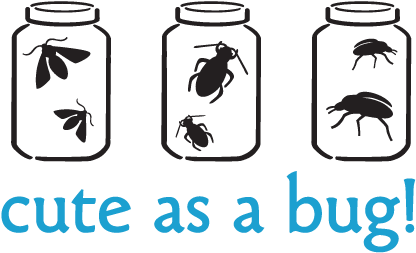 Cute As A Bug With Jars Vinyl Wall Decal - Wall Decal (451x451)