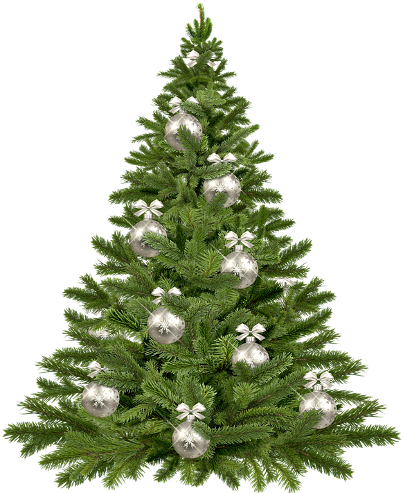 Vector Pine Tree 24, Buy Clip Art - Purple Christmas Tree Png (609x720)