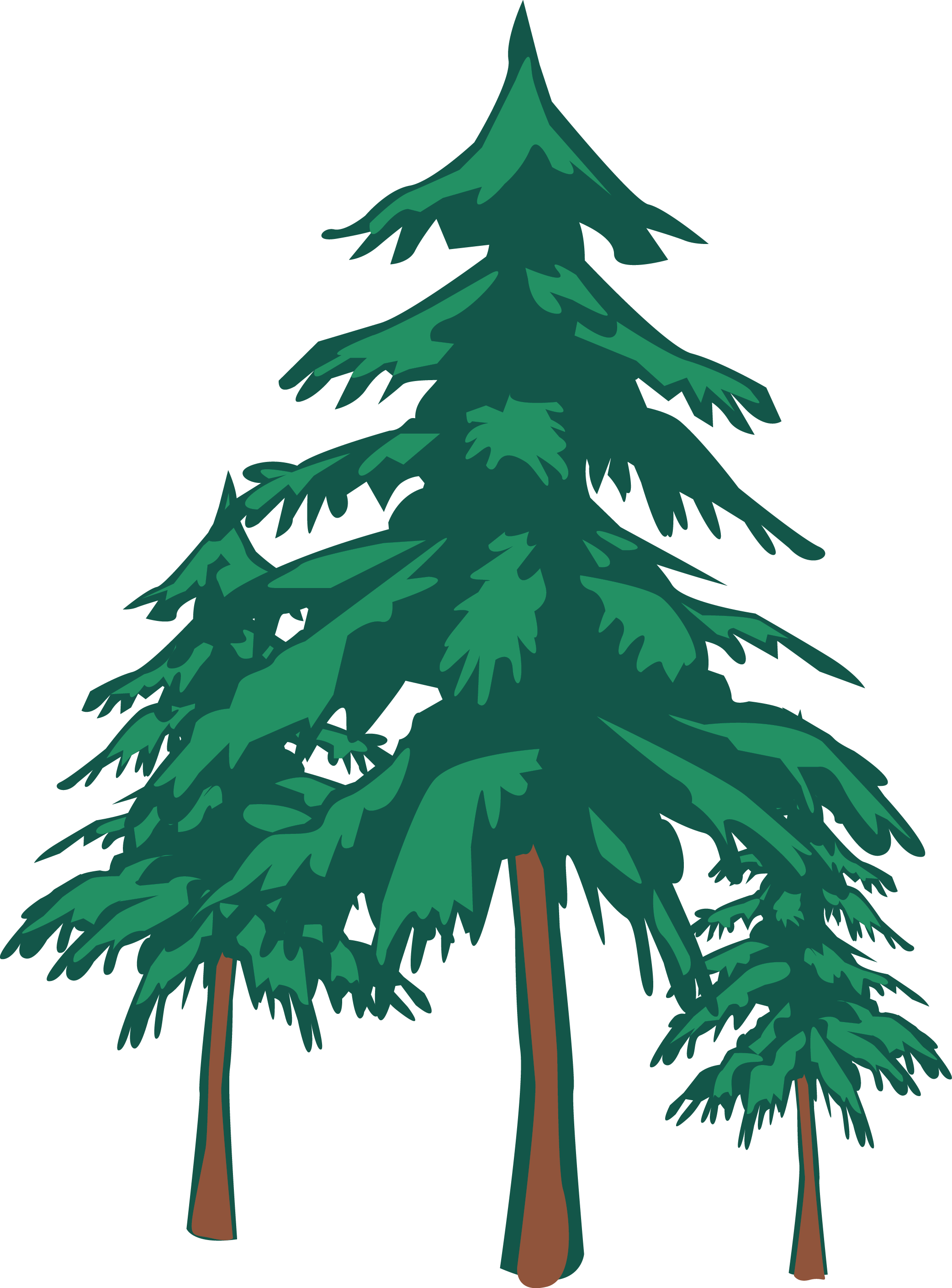St Andrew United Church-christ Redwood Grove Hotel - Modern Green Tree 28 Shower Curtain (2084x2819)