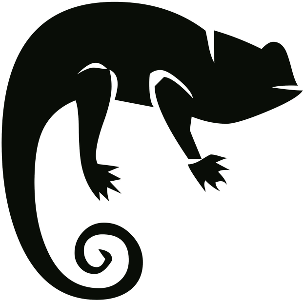 Salamander Clipart Outline - Camaleon Silueta Png (640x635)