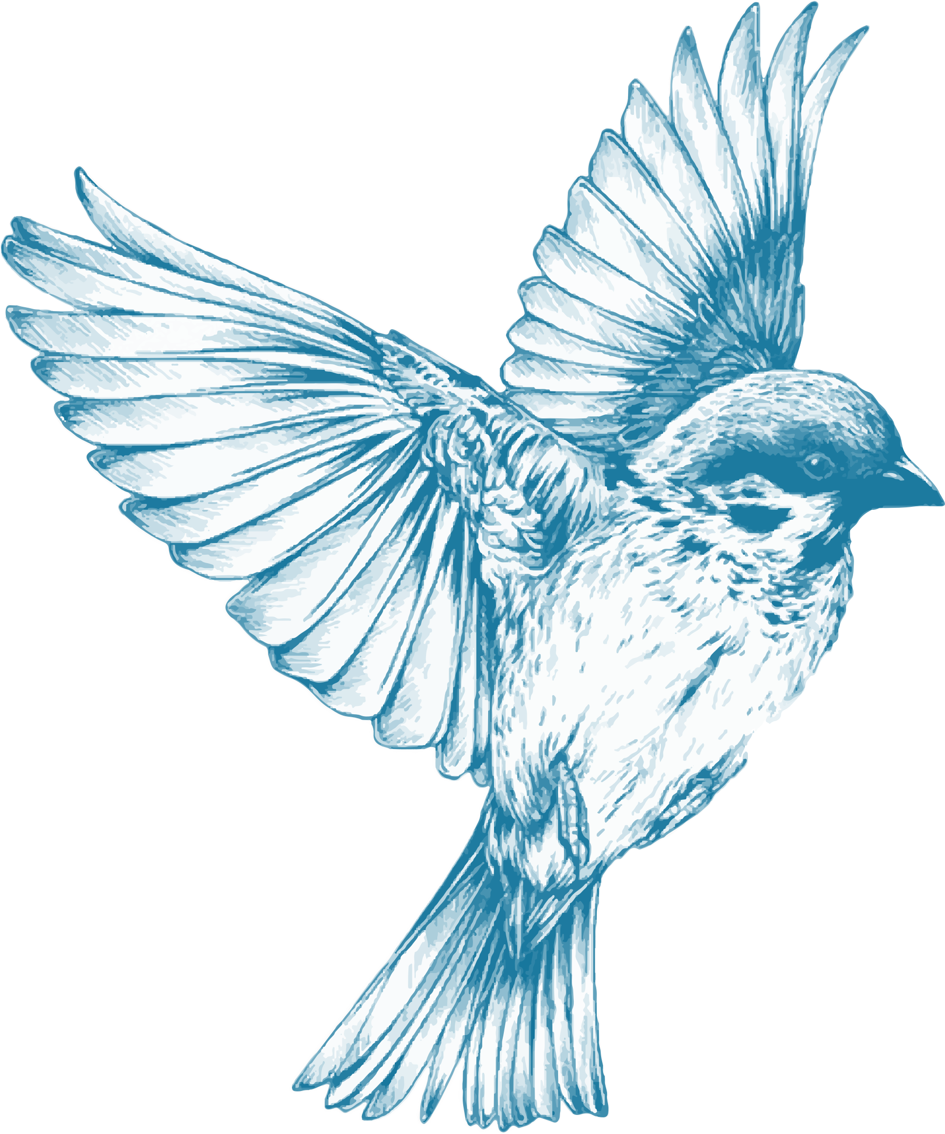 Clipart - Blue Bird Flying Drawing (1932x2318)