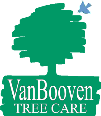 Vanbooven Professional Tree Maintenance - Illustration (334x374)