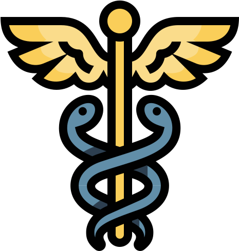 Medical Terminology, Canine Physiology, Kinesiology - Design (512x512)