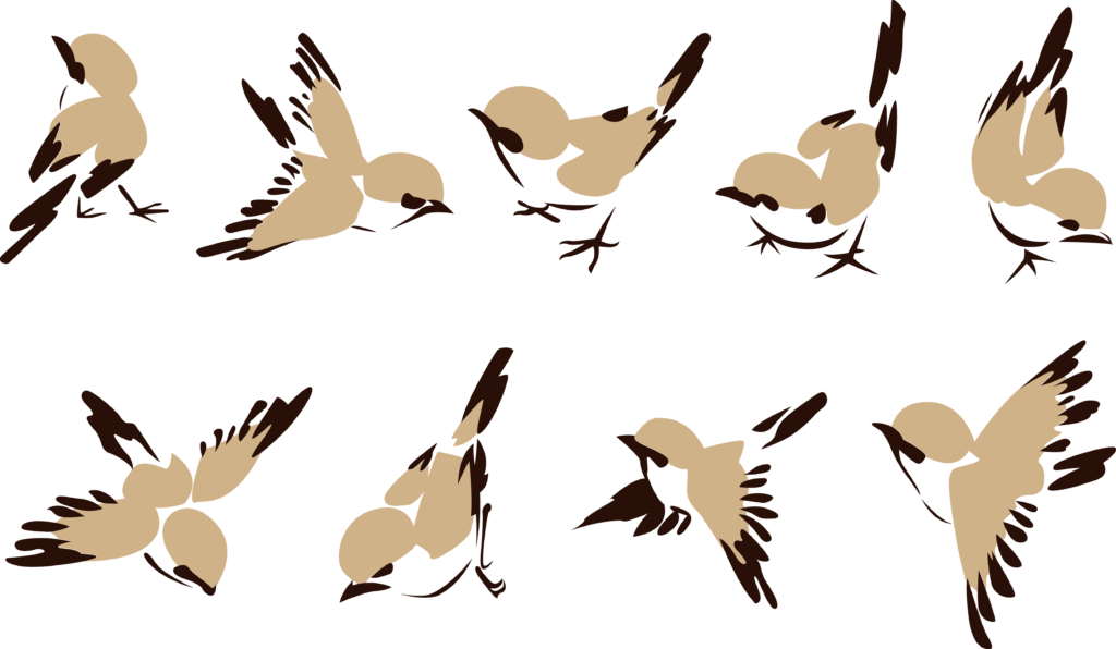 Kisspng House Sparrow Bird Clip Art Ink Pen Jane Little - Birds Drawings Vector (1024x596)