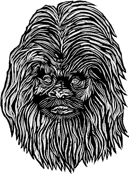 Photo - Dog Breed (530x583)