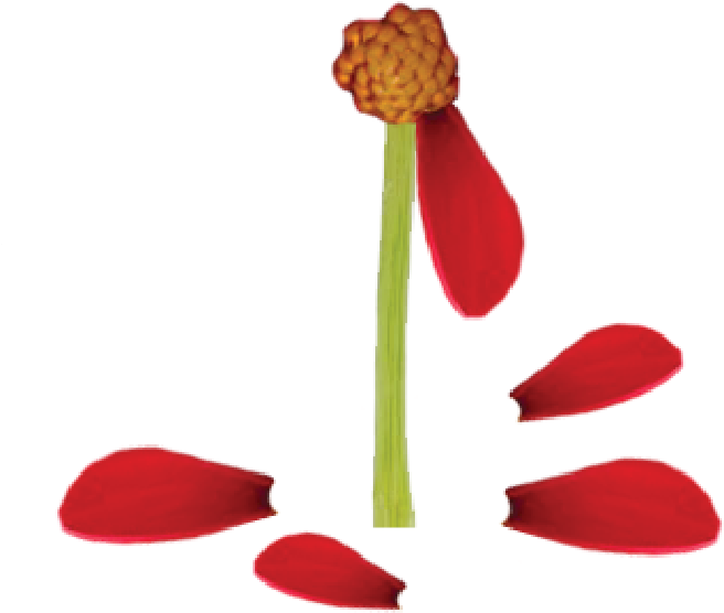 Moreganize Is Here To Help You Navigate The Important - Illustration (730x730)