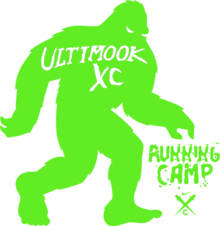 Camping On The Hydrangea Ranch - Long-distance Running (730x750)