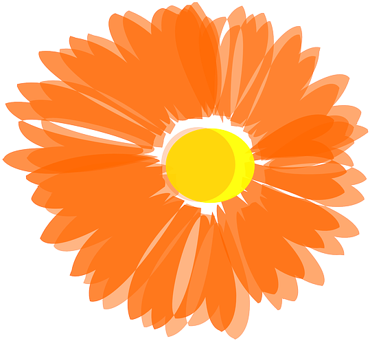 Orange Flower Clipart Bunga - Blume Orange Clipart (640x589)