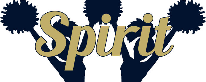 We Ve Got Spirit (700x278)