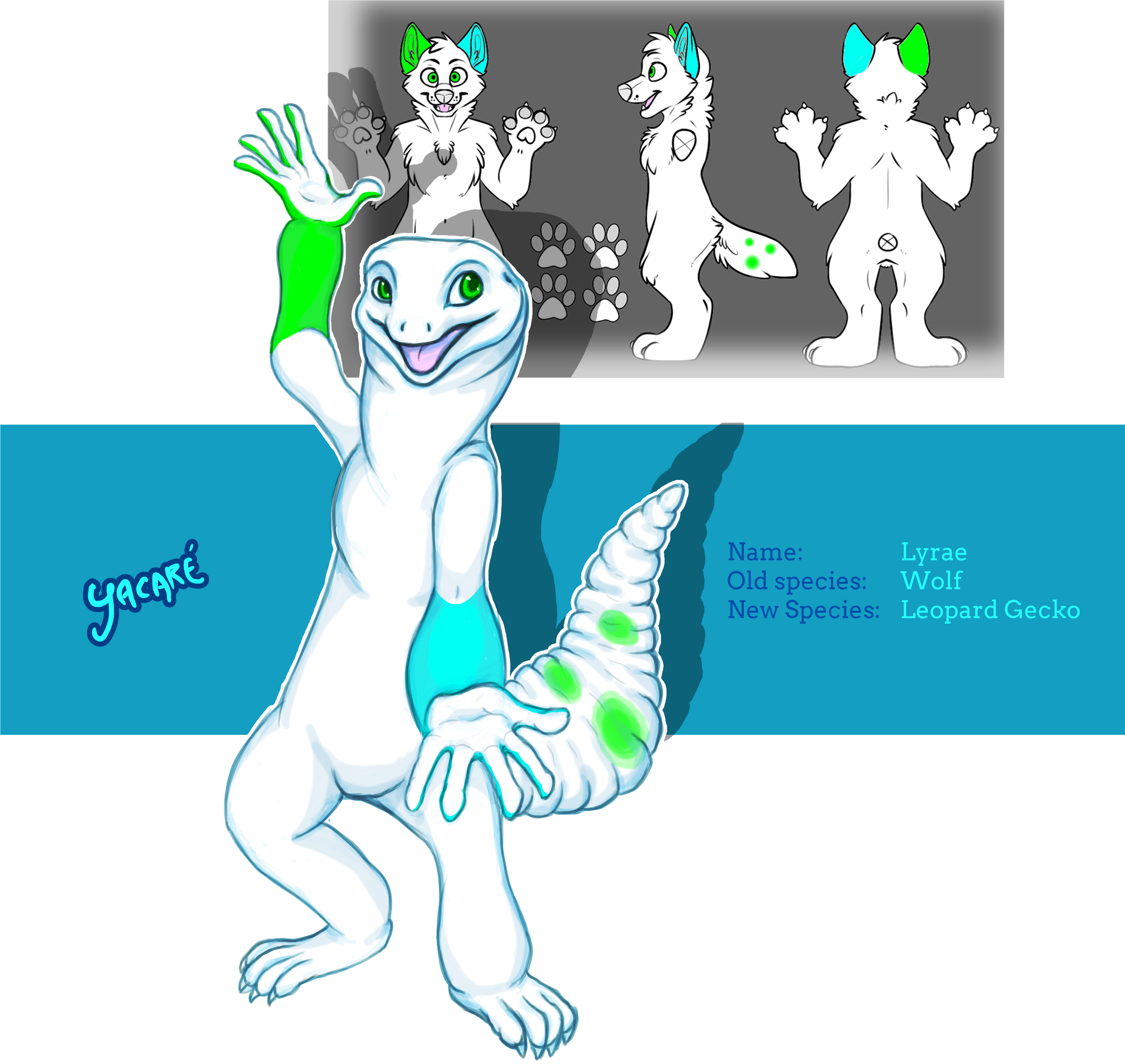 From Wolf To Leopard Gecko - Snow Leopard (3500x3500)