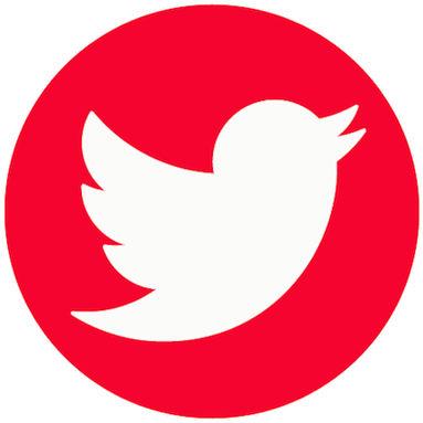 Meet The It Team That Made This Possible - Red Twitter Logo Transparent (383x383)