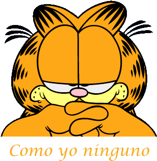 Garfield - Garfield (328x387)