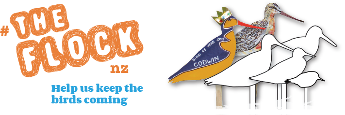 Flock Idwbirds - Fijne Koninginnedag (711x238)